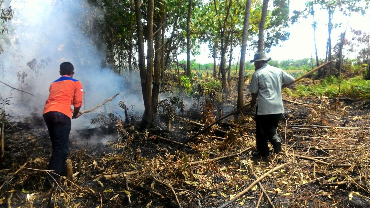 Indonesia Proaktif Cegah Kebakaran Hutan