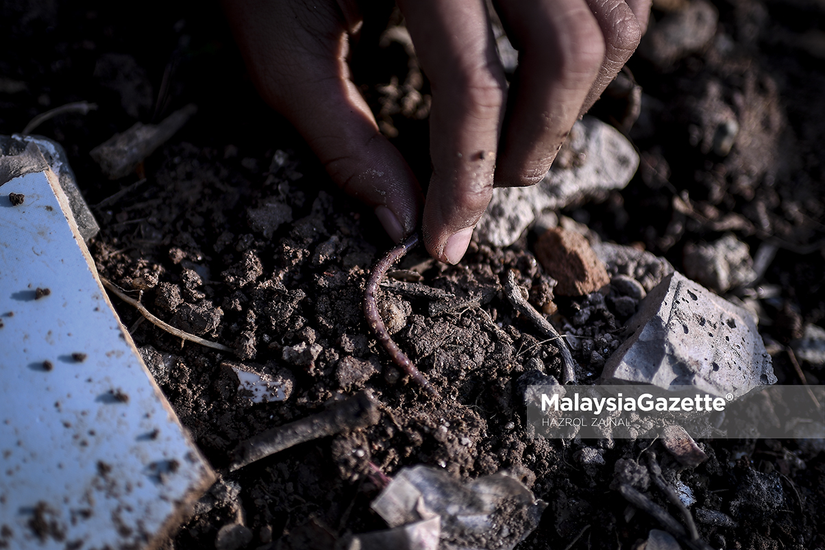 MGF24122018_HUMAN INTEREST BUDAK MANCING05