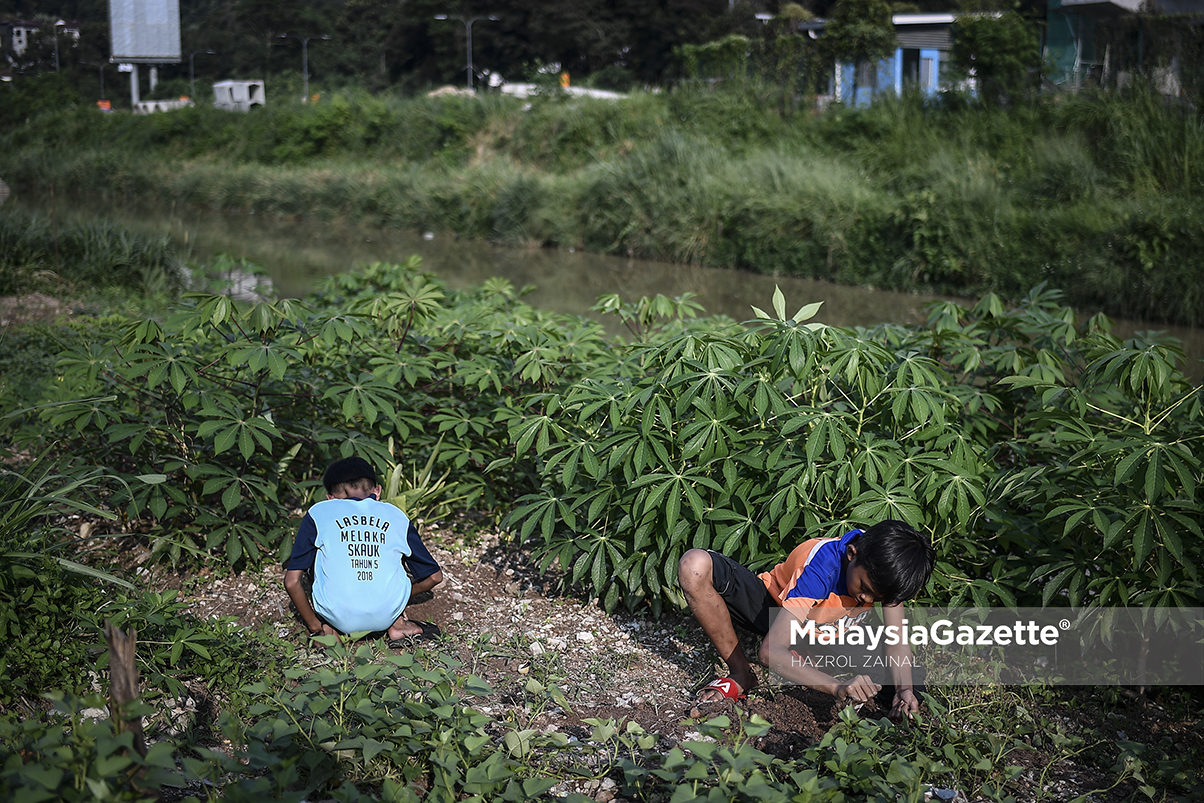 MGF24122018_HUMAN INTEREST BUDAK MANCING08