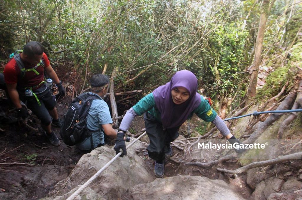 Dilarang Mendaki Di Hutan Simpan Kekal Selangor Mulai Esok