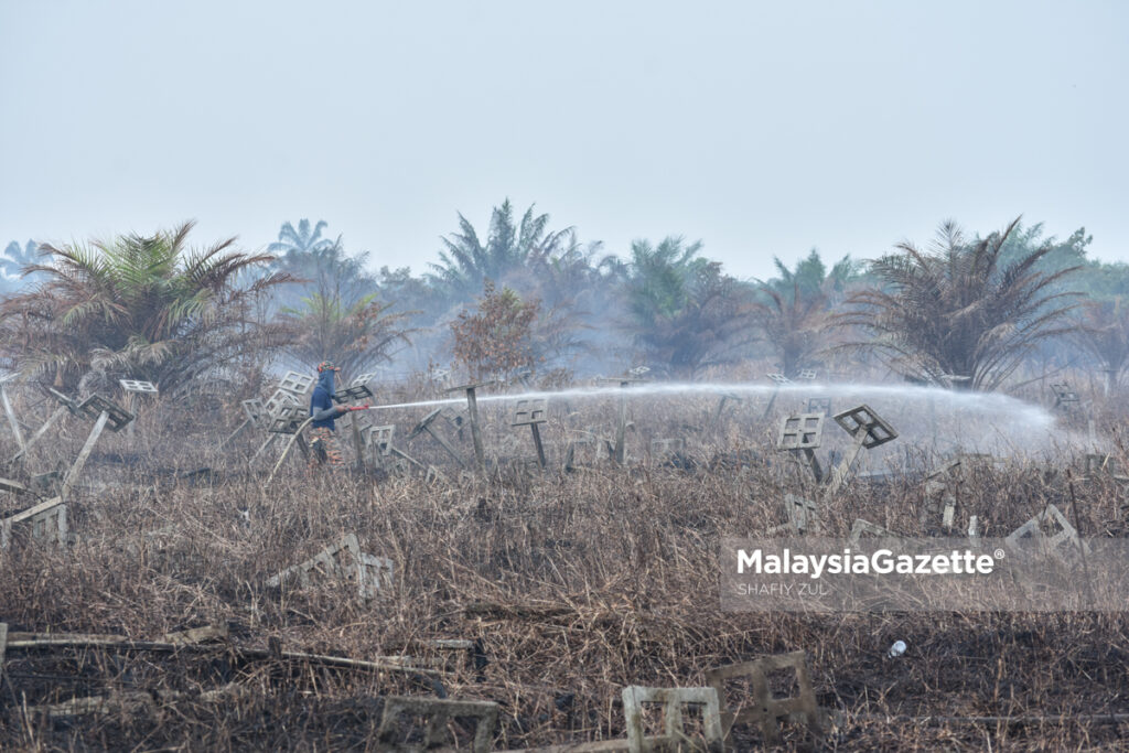 Kebakaran Hutan Simpan Di Kuala Langat