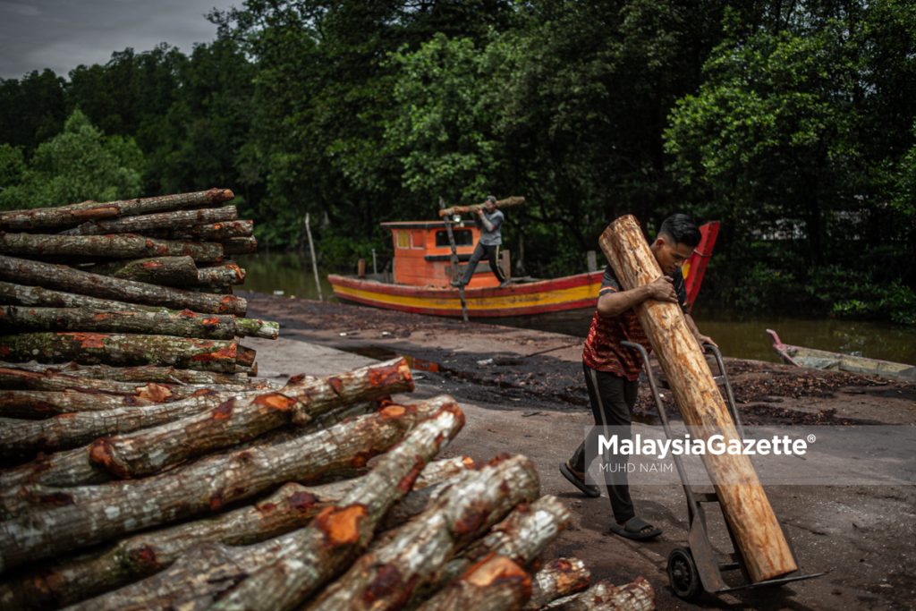 Kilang Arang Industri Tertua Di Kuala Sepetang