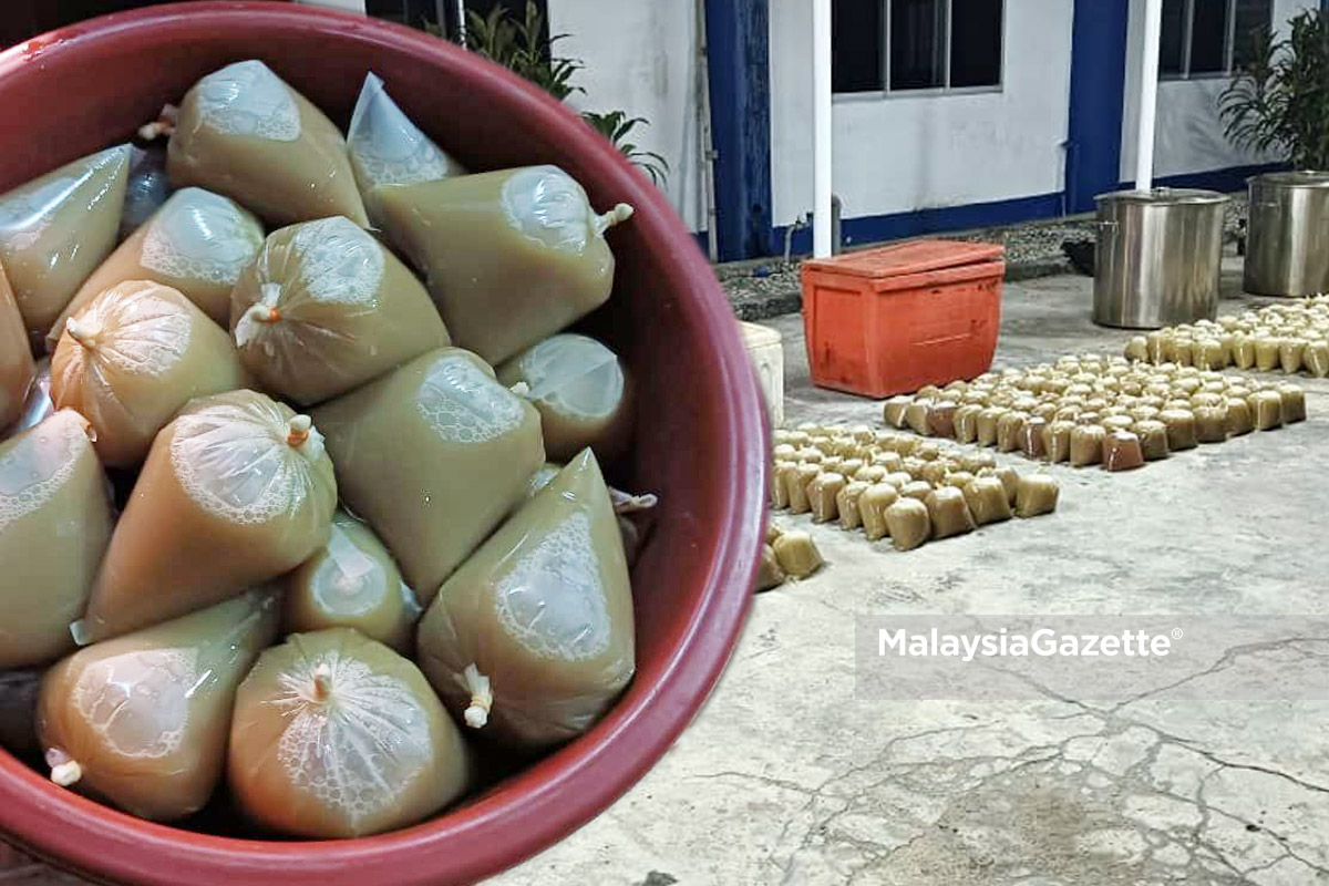 Lima Orang Asli Disyaki Dalang Sindiket Air Ketum Ditahan Polis