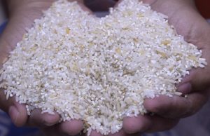 Jangan dengar dakwaan petani bulat-bulat