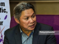 LHDNM lantik bekas CEO, Farahana anggotai lembaga pengarah resignation IRB CEO Najib Razak Ketua Pegawai Eksekutif LHDN, Datuk Seri Sabin Samitah