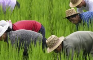 Penduduk Korea Utara tidak cukup makan