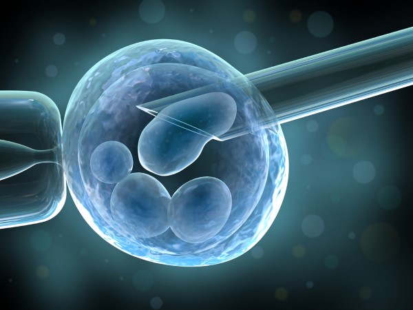 ovum