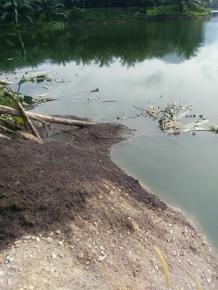 Kawasan lombong yang dijadikan kolam ternakan ikan telah beroperasi sejak lima tahun lalu.