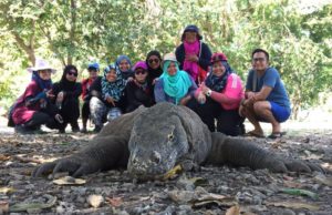Pemandangan menyihir mata dan komodo di Kepulauan Flores
