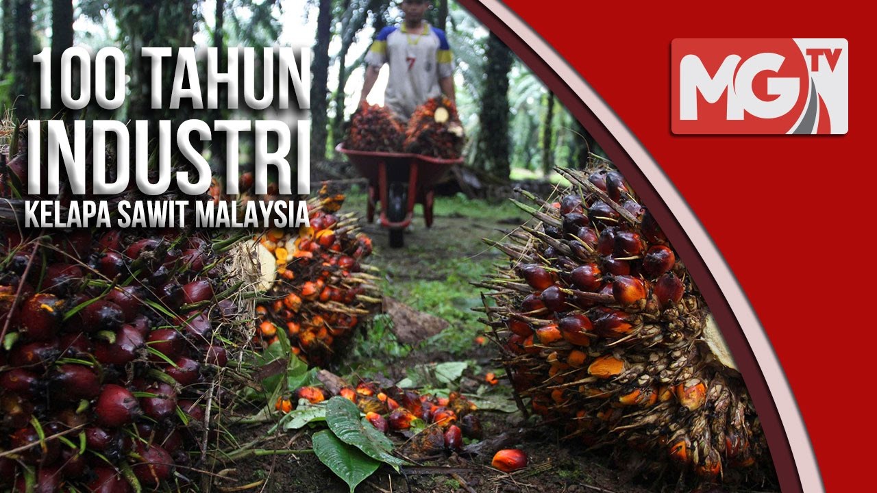 100 Tahun Industri Kelapa Sawit  Malaysia VIDEO 