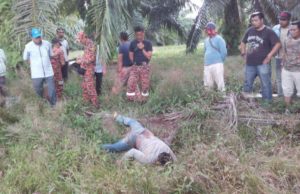 Lelaki maut dipijak gajah liar