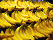 Menteri Sweeden fobia buah pisang