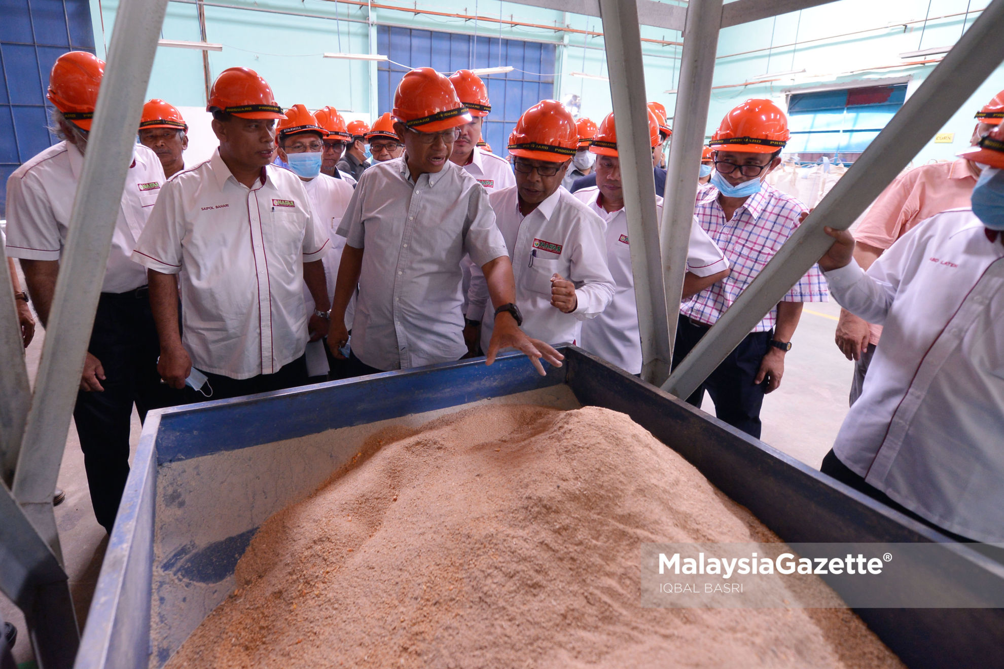 MOA sasar tanaman  jagung  bijian selepas padi