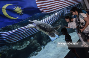 Aquaria Cipta Rekod Jalur Gemilang Terpanjang Dalam Akuarium