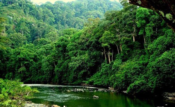 Hutan simpan di malaysia