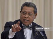 Tangani Covid-19 barulah Pilihan Raya Umum-15 – Pandikar Amin