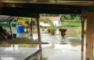 2 sekolah rendah tutup Sarawak