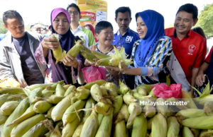 Pembangunan wanita jadi agenda utama BN