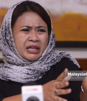 Anina Saadudin