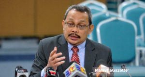 Tan Sri Dzulkifli Ahmad