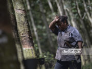 gambar hiasan
