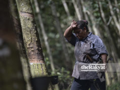 gambar hiasan