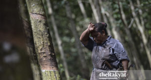 gambar hiasan