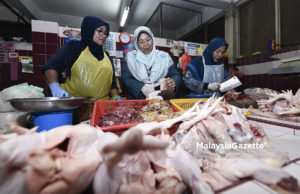 Calon PH Kuantan – Mesra Rakyat #PRU14
