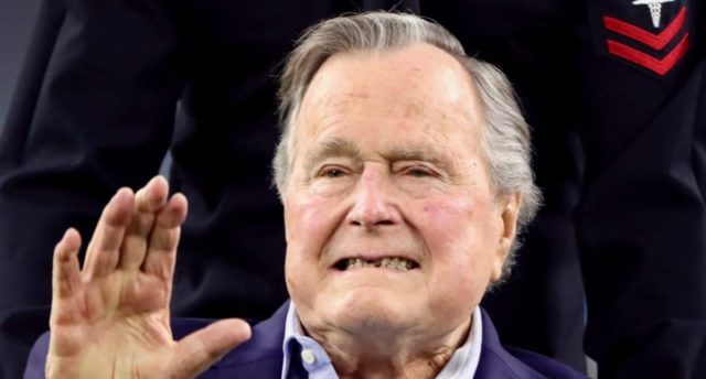 bush