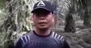 Jamal yang kelihatan berada di ladang kelapa sawit berdasarkan rakaman video itu juga merayu Muhyiddin memberi jaminan keselamatannya.