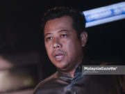 Mohd Razlan Rafii