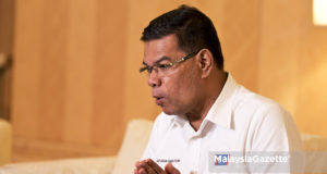 Saifuddin Nasution Rafizi Ramli PKR election deputy president