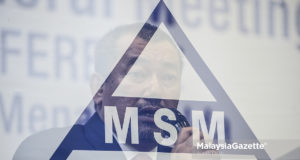 MSM