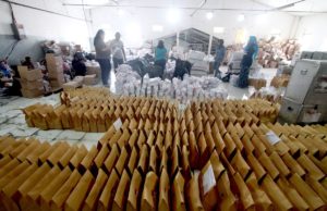 Pilihan raya wilayah Indonesia hari ini