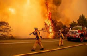 Anggota bomba berusaha mengawal kebakaran hutan di California.
