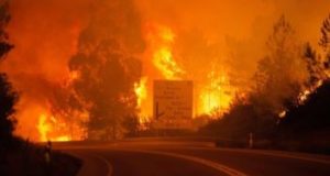 Seramai 74 orang terkorban dalam kebakaran di Greece.