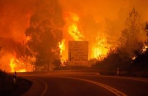 Seramai 74 orang terkorban dalam kebakaran di Greece.