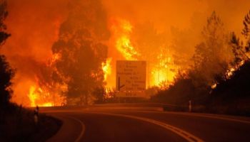 Seramai 74 orang terkorban dalam kebakaran di Greece.