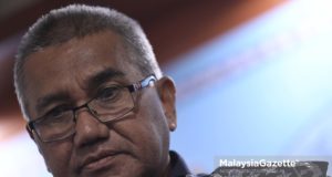 Mohamad Fuzi Harun