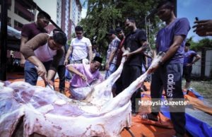 Halimey Tetap Berkempen Pada Sambutan Hari Raya Aidiladha – PRK Seri Setia