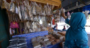 Seorang pelanggan sedang memilih pelbagai jenis ikan masin yang dijual di Pusat Jualan Ikan Masin, Kota Kinabalu, Sabah. Foto/SAFWAN MANSOR. 24 DISEMBER 2013