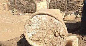 Keju purba yang ditemui di Mesir. foto: University Of Catania / Cairo University
