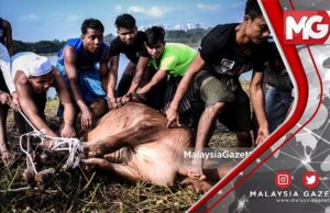 TERKINI : Ratusan Etnik Rohingya Sambut Hari Raya Aidiladha di Pasar Borong KL