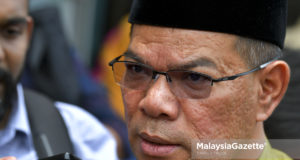 Datuk Saifuddin Nasution Ismail