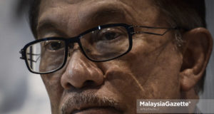 Ketua Umum PKR Datuk Seri Anwar Ibrahim percaya beliau berpotensi memenangi Pilihan Raya Kecil (PRK) Parlimen Port Dickson berdasarkan rekod prestasinya yang cemerlang dalam mempertahankan Angkatan Tentera Malaysia (ATM) dan golongan veteran.