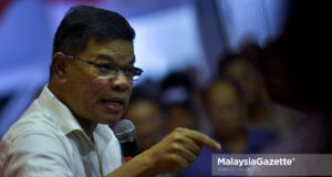 Saifuddin Nasution Ismail
