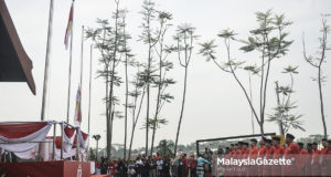 UMNO