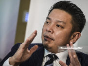Datuk Darell Leiking.