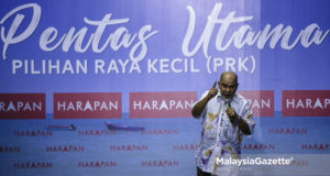 Tan Sri Syed Hamid Albar