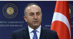 Mevlut Cavusoglu
